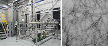 셀룰로스 섬유 나노화